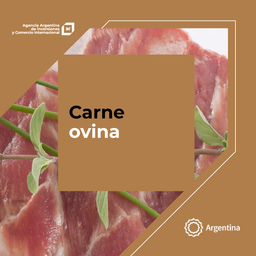http://www.exportar.org.ar./images/publicaciones/Oferta exportable argentina: Carne ovina